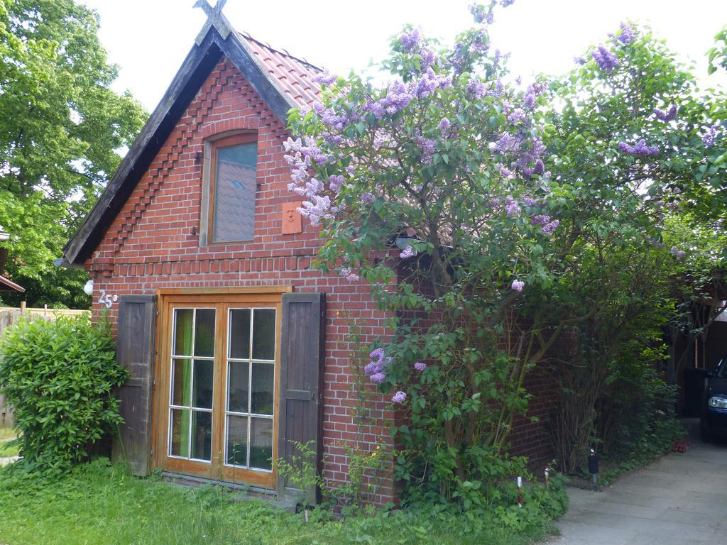 Ferienhaus Elbtalaue Bleckede Oda fotoğraf